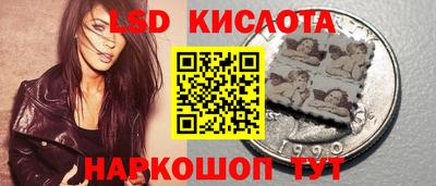 крисы Кингисепп