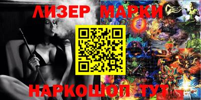 крисы Кингисепп