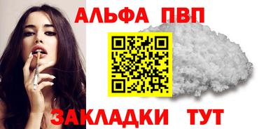 крисы Кингисепп