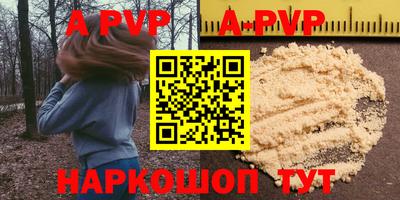 крисы Кингисепп