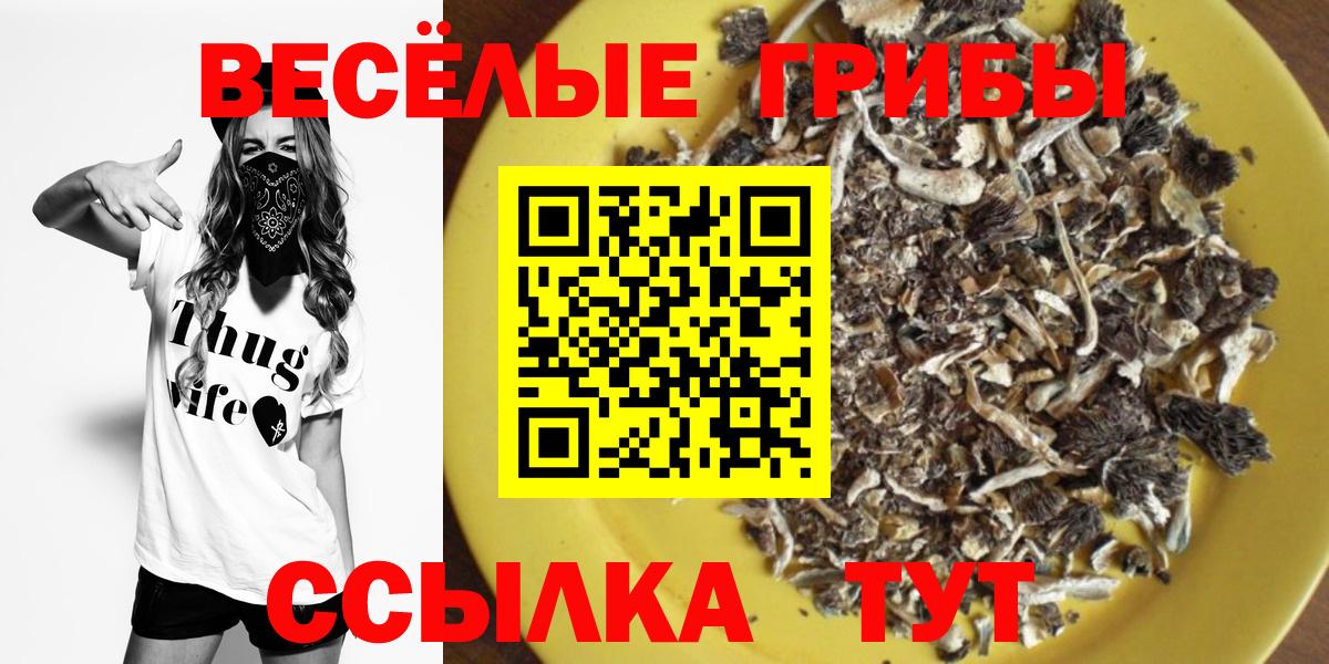 Псилоцибиновые грибы MAGIC MUSHROOMS  Галлюциногенные грибы Psilocybine cubensis  Красногорск  закладка  Вход с VPN 